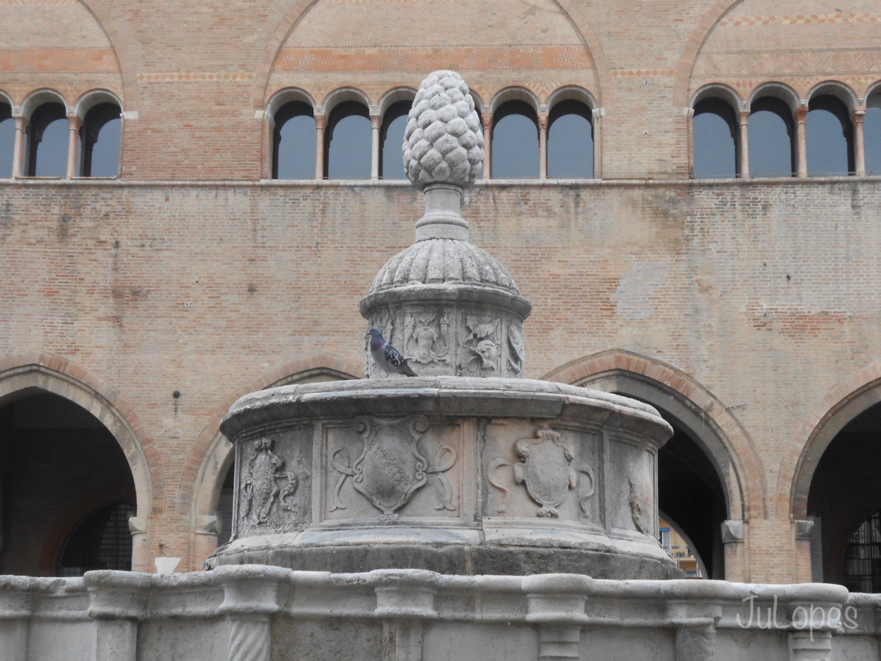 DSCN1536.jpg