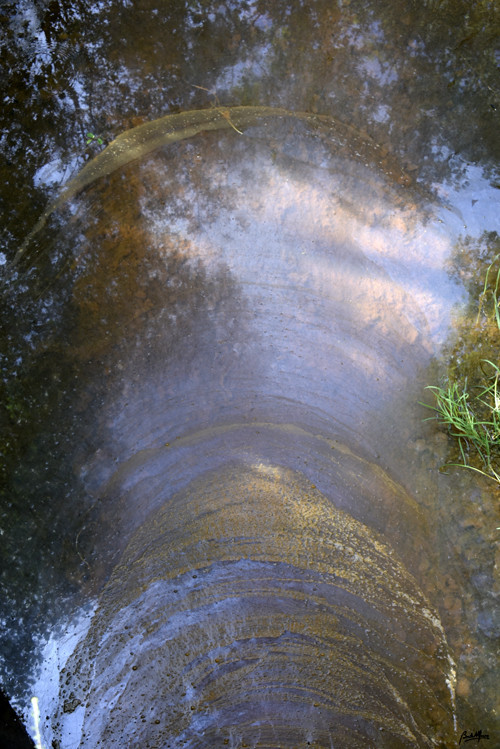 _DSC5550.JPG _DSC5550.JPG