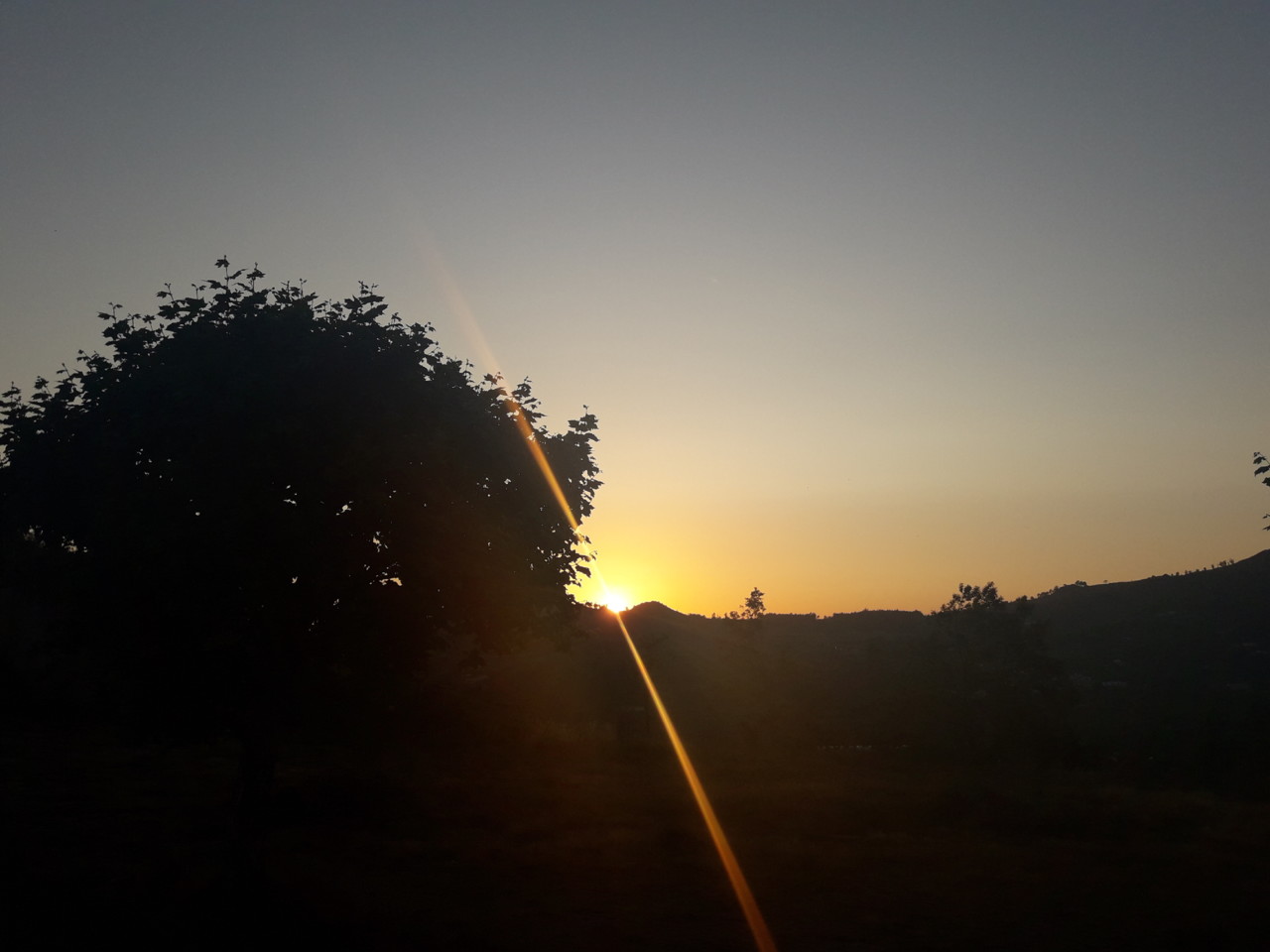 20190705_205121.jpg 20190705_205121.jpg