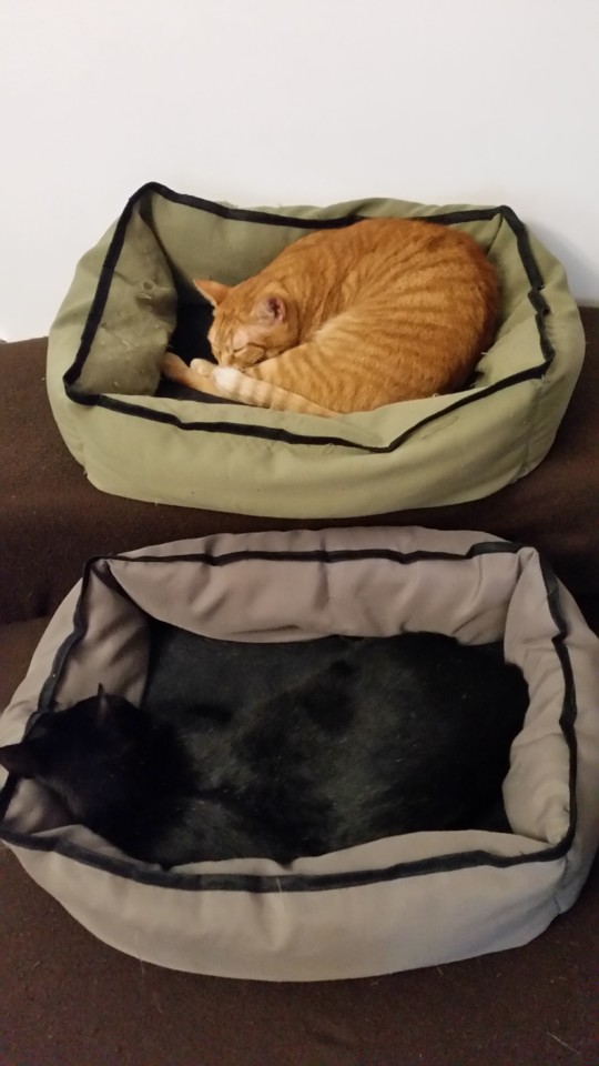 20190401_092314.jpg 20190401_092314.jpg