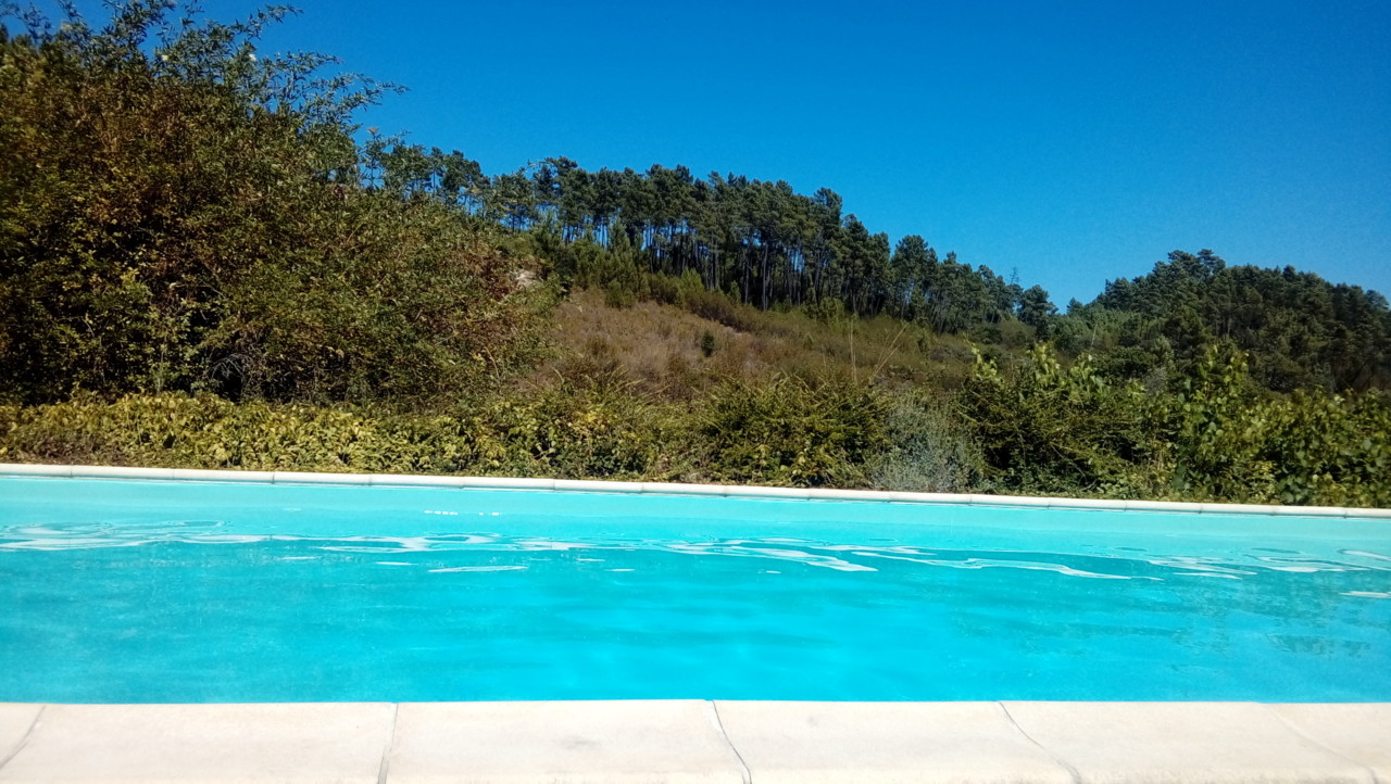 20180808_155355.jpg