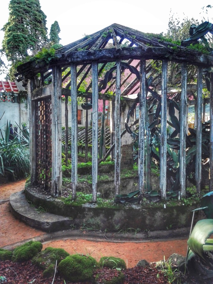 jardim tropical belem (17).jpg