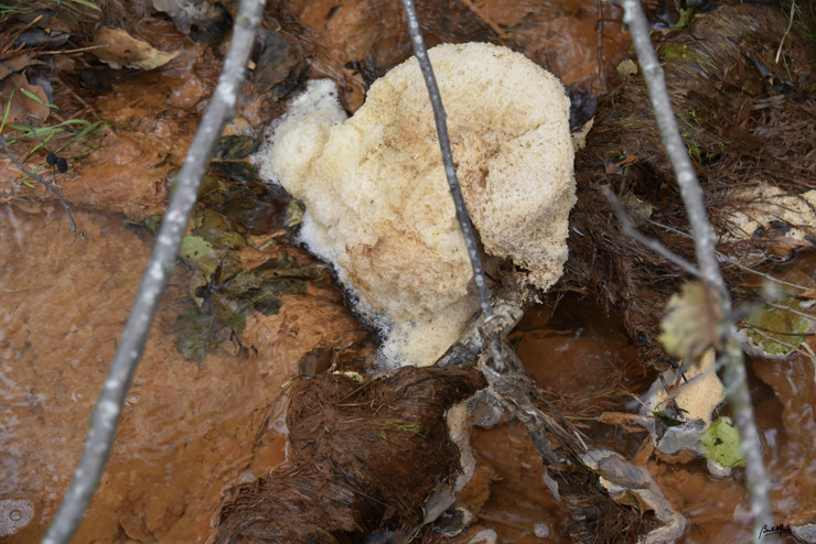 Ponto 1_DSC3214.JPG Ponto 1_DSC3214.JPG