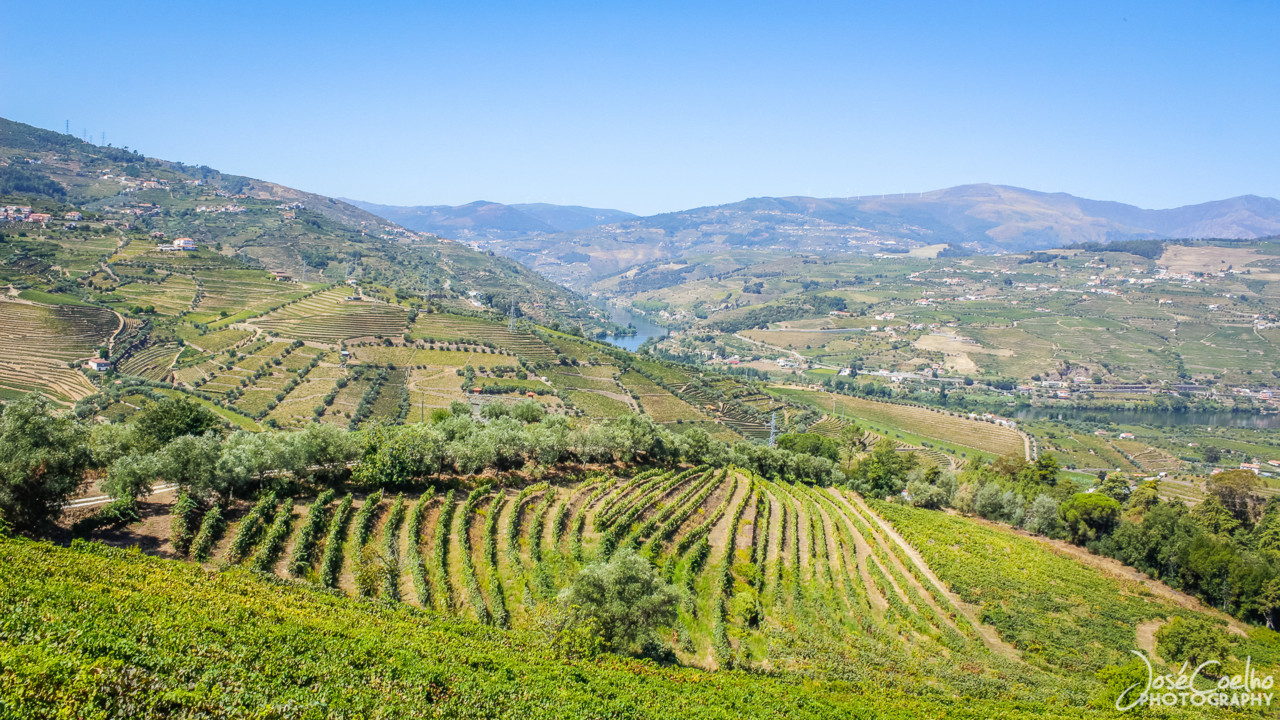 QUINTA DA PACHECA DOURO LAMEGO (30).jpg QUINTA DA PACHECA DOURO LAMEGO (30).jpg