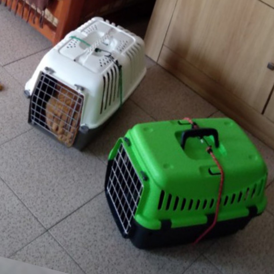 SquarePic_20200726_19393643.jpg SquarePic_20200726_19393643.jpg