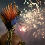 I Jogos Mundiais Indígenas, Palmas, Brasil 