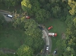 Alto da Boa Vista - Floresta da Tijuca acidente de