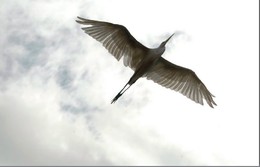 &Uacute;ltimo domingo (18Mar12) do ver&atilde;o com c&eacute;u nubla