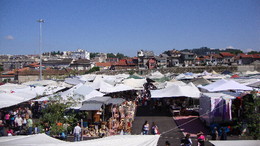 DSC00499