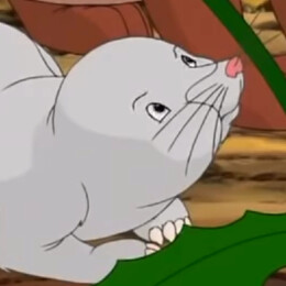 Tambor.webp