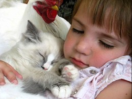 fb_KFZQhFR7OQ92UhF3MsQl