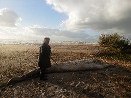 APCA - BALEIA JANEIRO 2014.JPG