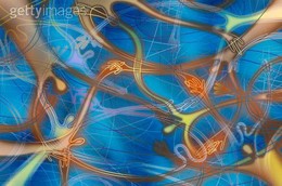 fb_p7OKw9ttHhv4MOQ02HhL