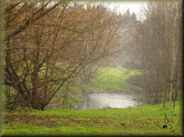 09Fev s2w7sus2w7sus2w7_ms.jpg