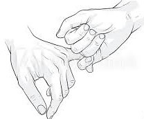 49380512342_efb6517bc6_m.jpg